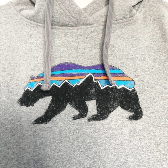 Patagonia Fitz Roy Bear Uprisal Gray Regular Fit Hoodie Size Medium - Picture 3 of 8